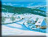 Kliknute da vidite veću sliku - Motif from 'Vlasic' 1