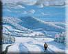 Kliknute da vidite veću sliku - Passenger In Snow
