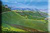 Kliknute da vidite veću sliku - Early Morning Ploughman