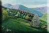 Kliknute da vidite veću sliku - Morning Rays