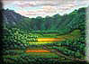 To see a lareger version click on  Sunny Bran Fields