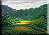 Kliknute da vidite veću sliku - Sunny Bran Fields
